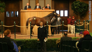 This year's Keeneland Auction brought in less than $24 million -- down 27 percent from last year.
