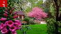 Your life: Cool lawns and gardens