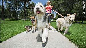 Owners of pampered pets are willing to pay people to take their pooches for a walk.