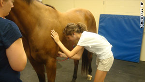 Abby Mrvos examines a horse at a Duke TIP veterinary class on the campus of the University of Georgia.