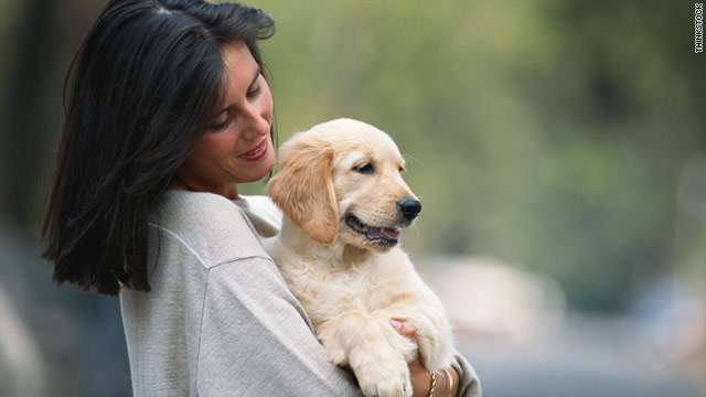 To help lighten the often sullen mood of workplace news, a CareerBuilder survey asked workers about their pets and jobs.
