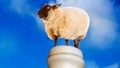 Frum: The weirdest campaign ad ever?