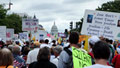 Analysis: Where does Tea Party go now?