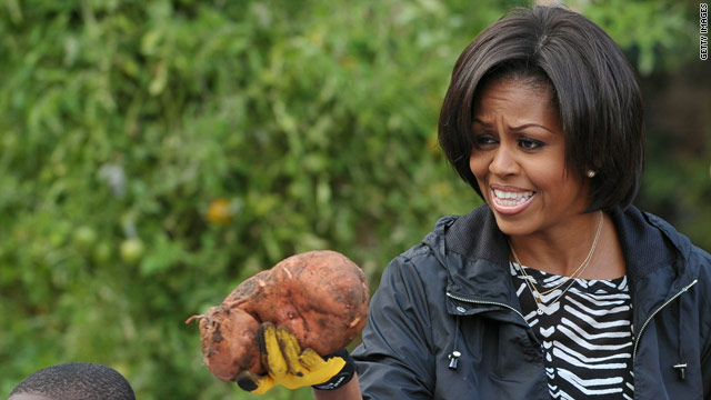 Giant Sweet Potato