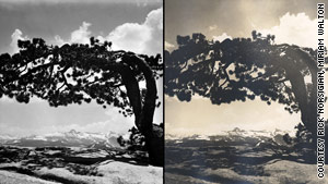 Miriam Walton says her uncle, Earl Brooks, took the photo on the right. She says she believes the photo on the left was also taken on the same day by him -- not Ansel Adams.