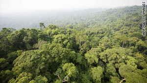 NASA images make tree map