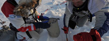 Gauging carbon's impact in Arctic