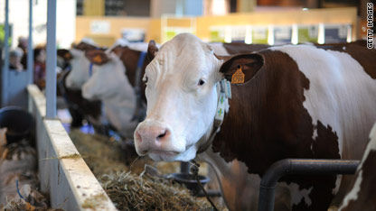 Farming debate sours over mega-dairy