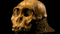 Ancient remains are 'time machine'