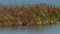 Fishing in Russia's Volga Delta