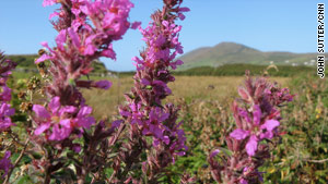 The Ring of Kerry is full of stunning views.