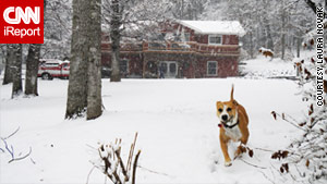 Snow covers the ground on Christmas Day in Rutherfordton, North Carolina.