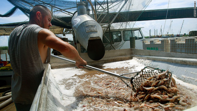 People in Lousiana's important seafood industry fear the coming oil spill could be disastrous.