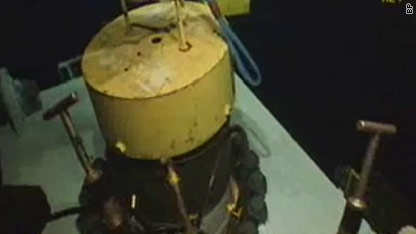 Gulf oil disaster: How you can help