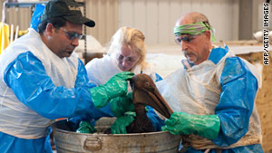 Gulf oil disaster: How you can help