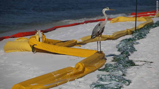 Gulf oil disaster will be felt for years, officials say
