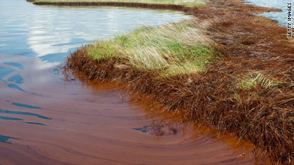 Global protest planned against BP