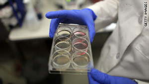 Allowing stem cell research to resume would  "flout the will of Congress," says a judge.