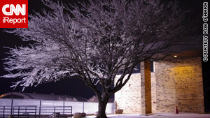 Snow and ice coated this tree in Yukon, Oklahoma, late last week.