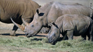 Security firms take on the poachers