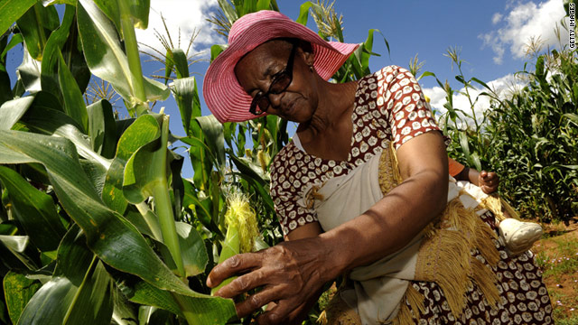 Prioritizing agriculture could make Africa a food exporter, according to a new study.