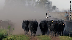 Argentina is the third-largest exporter of beef in the world.