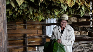 Plantation director Maria Luisa Alvarez with tobacco leaves hanging above her in a drying room.