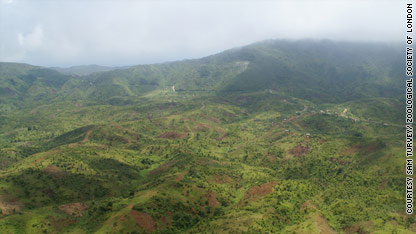 Haiti's fragile ecosystems facing disaster