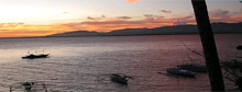 Restoring an island paradise
