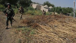 Illicit drugs are a big source of revenue for the Taliban. These poppy fields were destroyed last month in Helmand province.