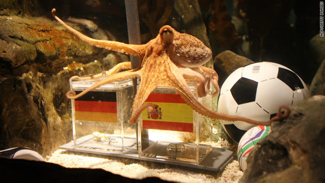 What is an Octopus Bet in Football?