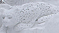 Surviving Sapporo Snow Festival