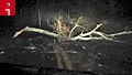Harrowing drive after storm hits