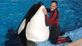 Judge won't release trainer death video
