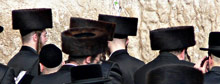 Israel: world's first fur-free nation? 