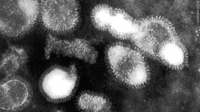 Scientists have successfully tested a flu vaccine which could protect against all strains of the virus, including bird flu cells.