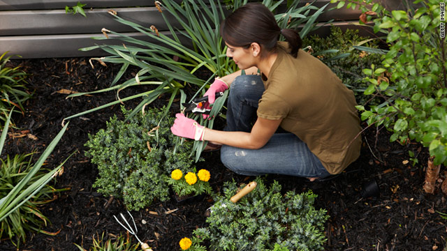 Gardening can ease s