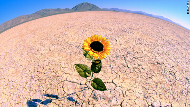 Researchers set out to determine whether optimism and resilience are teachable to those who are not necessarily so inclined.
