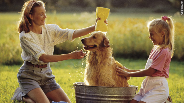 Regular grooming keeps pets healthy and reduces expenses over time.