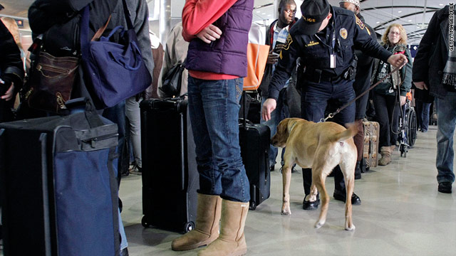 Spencer, a bomb-sniffing dog, checks a suitcase at the airport.