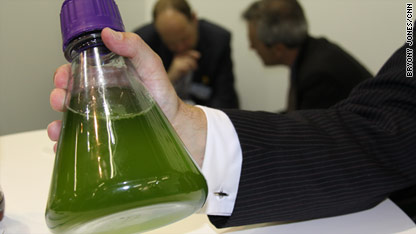 Are biofuels the future of flight?