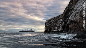 The Galapagos Islands harbor species that can't be found anywhere else.