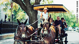 Take a scenic carriage ride through Charleston for a nice overview.