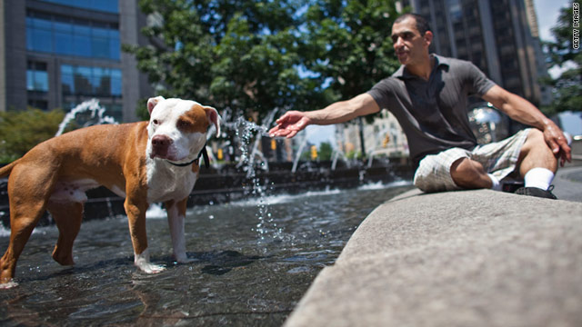 Herb Nieves and his dog cool out in the Columbus Circle fountain on Tuesday in New York City.