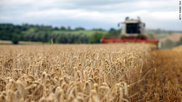Texas officials estimate $5.2 million in agricultural losses from the drought.