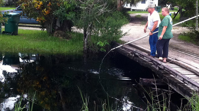 How to Catch an Alligator in the Lake, Pond, Yard, or Canal