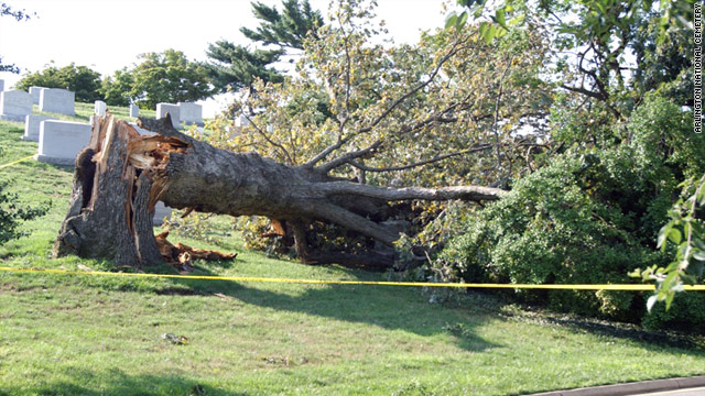 The iconic oak tree in Arlington National Cemetery was a casualty of Hurricane Irene on August 27.
