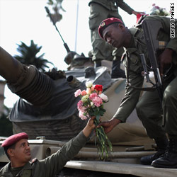 t1main.tunisia.flower.gi.jpg