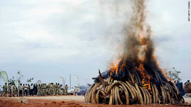 The president burned 335 elephant tusks and more than 40,000 ivory carvings from smugglers in Singapore.