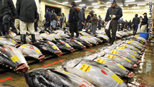 At the New Year tuna auction in Tokyo, a 754-pound  giant bluefin tuna sold for a record 32.49 million yen, or $396,000.